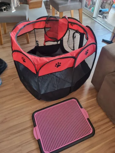 Acessórios para Pet