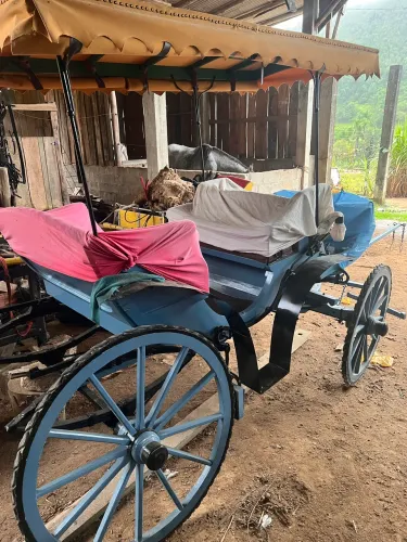 Carro de mola canguru