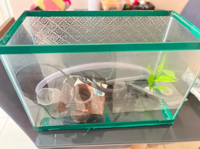 Vendendo do aquario completo so vai falta os peixinhos
