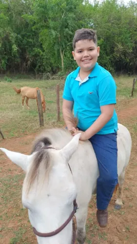 Cavalo pônei manso 