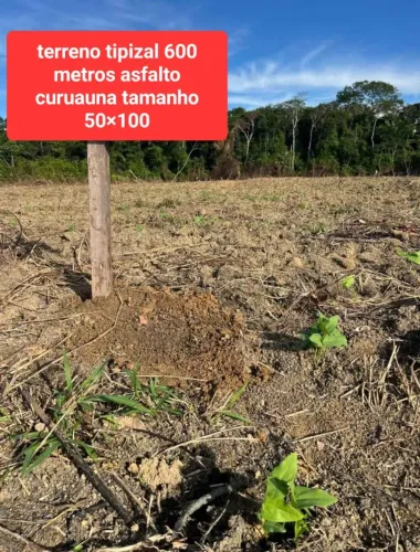 Terreno