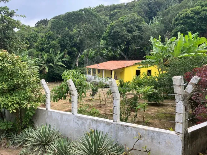 Sítio para Venda em Mulungu, Guaira, 3 dormitórios, 1 suíte, 2 banheiros, 10 vagas