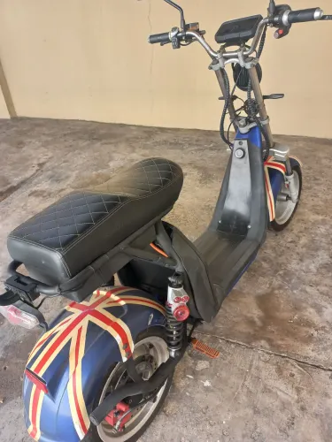 PT 300 SHINERAY