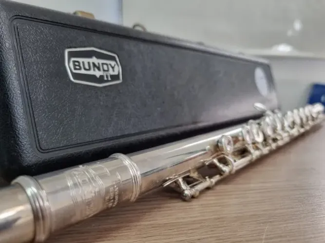 Flauta Selmer Americana Profissional - Original - Revisada - Parcelo - Envio - OLX PAY