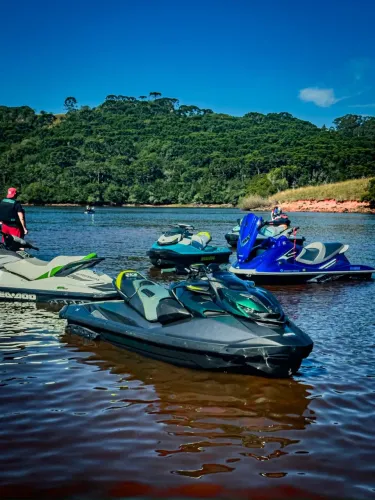 RXP-X APEX 300 2024