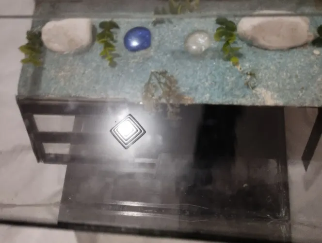 Terrário ou aquário