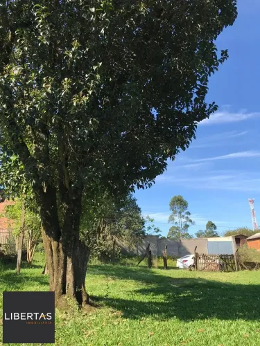 Terreno em Neópolis