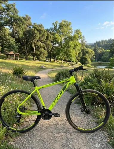 Bicicleta Aro 29 Rino Everest 24V - Câmbio Index (Amarela Neon)