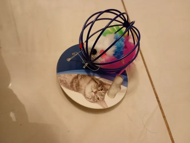 2 brinquedos e outro