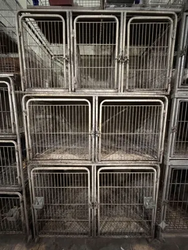 Gaiolas de cachorro 