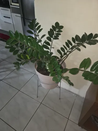 Vendo barato