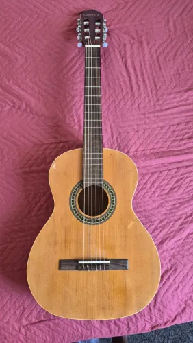 Violão Gianini nylon