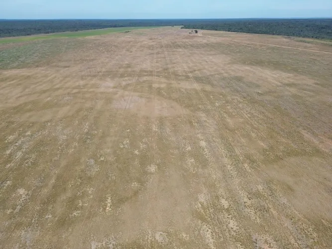 Fazenda de arrendamento soja 1.250 hec região Confresa MT.