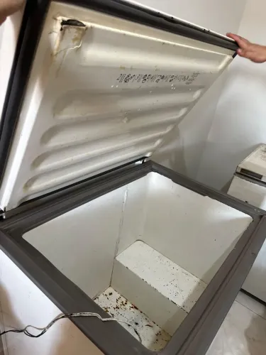 Vendo freezer 300l usado