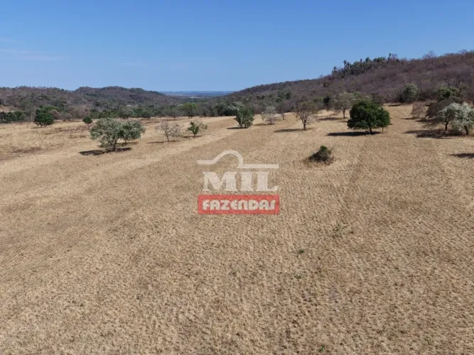 Fazenda para Arrendamento 40 Alqueires (193 Hectares) Jussara - GO