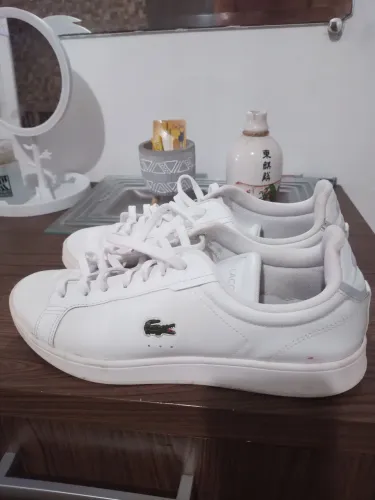 Sapatenis lacoste número 41 só 40 reais