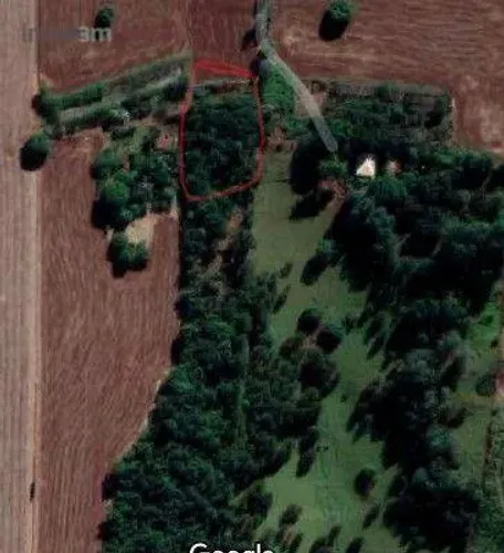 Terreno à venda, 3480 m² por R$ 310.000,00 - Pat Regina - Londrina/PR