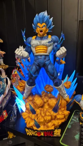 Busto vegeta reservado