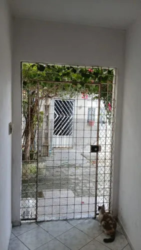 Portão usado