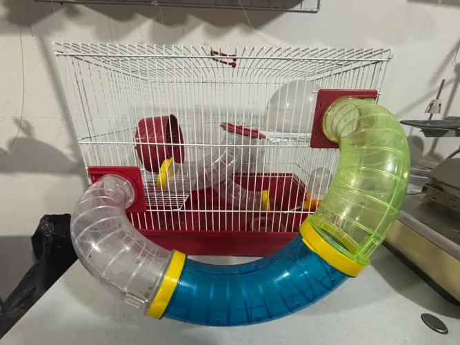 Gaiola Mansão de Hamster Super Completa