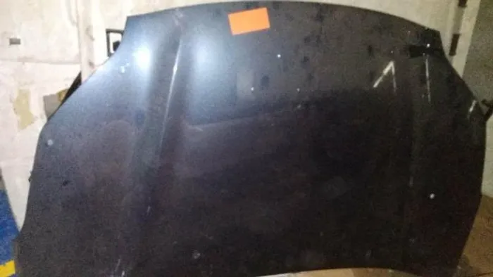 Capo Sportage 18