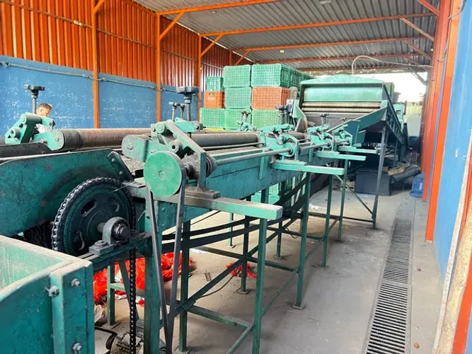 Máquina beneficiamento de laranja ? e limão ? 