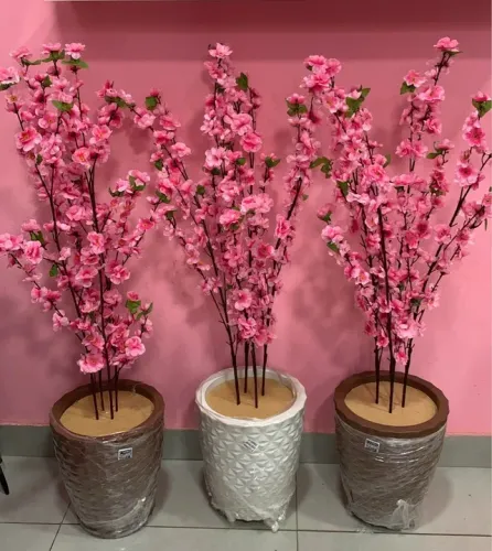 Planta Rosa decorativa