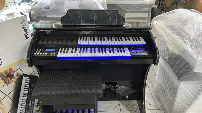 Órgão Eletrônico Rohnes Celestion Plus