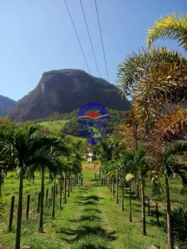 Sítio em Trapiche Macaé