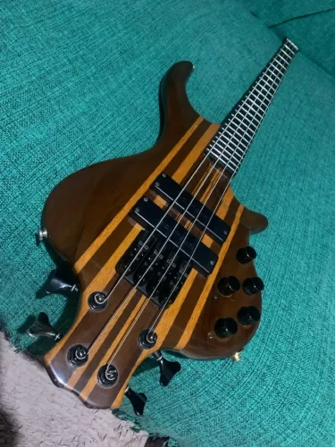 Baixo Elétrico Customizado - Design Único e Timbre Poderoso