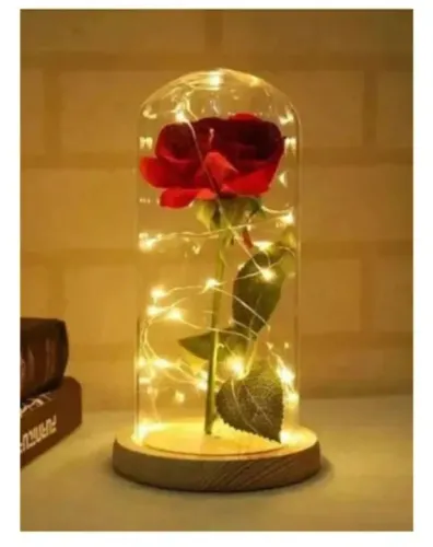 Rosa Na cúpula com luminária de led