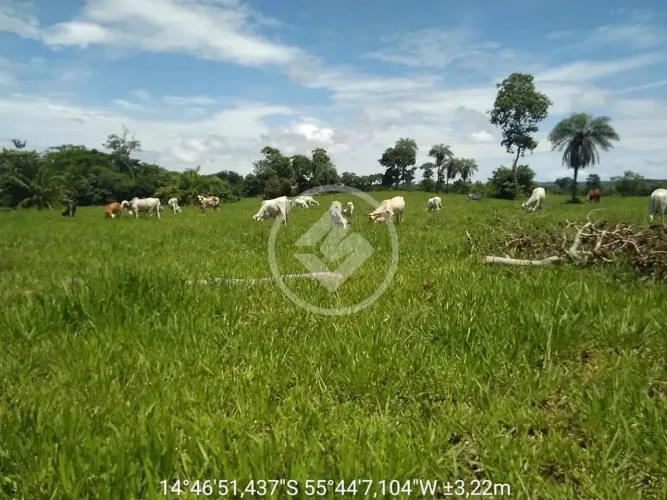 Fazenda no Manso, próximo ao lago e a vila. codigo: 122990