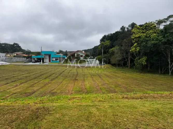 Terreno Plano 1000 metros Fazenda São Francisco Jambeiro