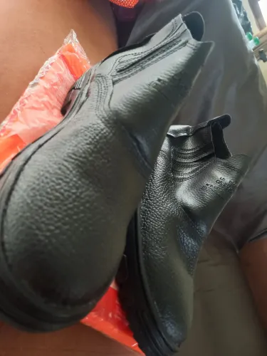 Bota