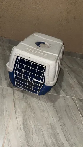 Caixa transporte cachorro