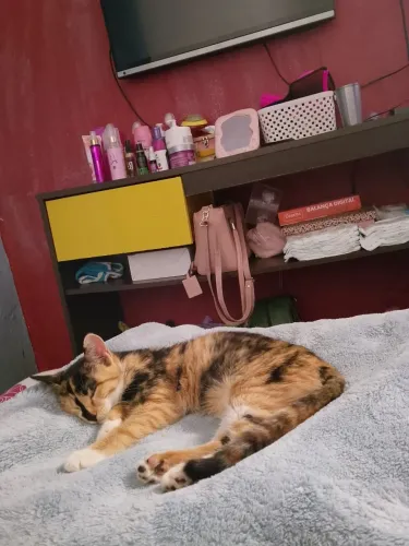 Doação