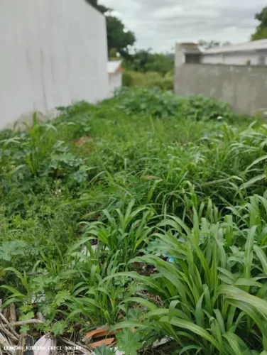 Terreno para Venda em Sorocaba, Ipanema Ville, 1 dormitório, 1 suíte, 1 banheiro, 1 vaga