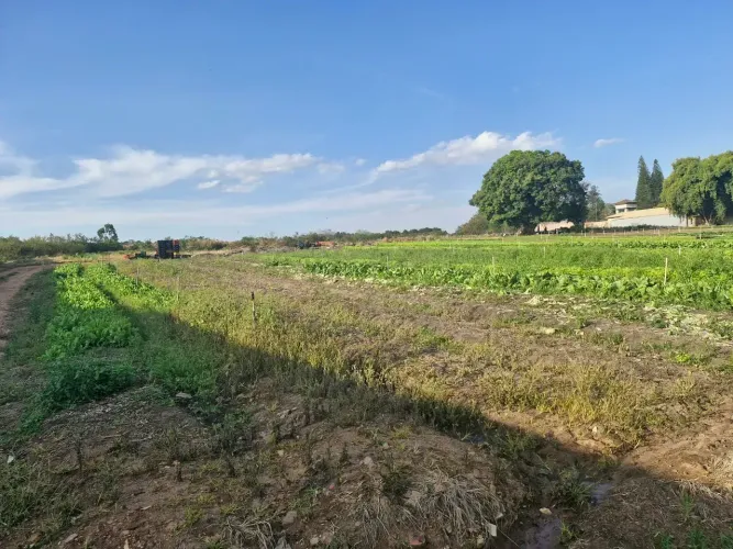 Imóvel para venda tem 7500 metros quadrados em Parque Santa Cecília - Piracicaba - SP