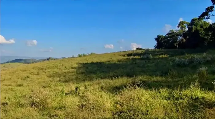oportunidade em cambui