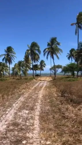 Imóvel para venda com 880000 metros quadrados em Centro - Barra de Santo Antônio - AL