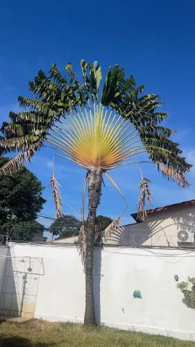 Térrea para aluguel e venda possui 220 metros quadrados com 3 quartos