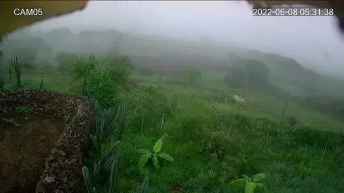 Área à venda, 480000 m² por R$ 3.000.000 - Barra de Santana - Barra de Santana/Paraíba