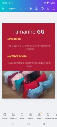 Colméia organizadora clean Premium