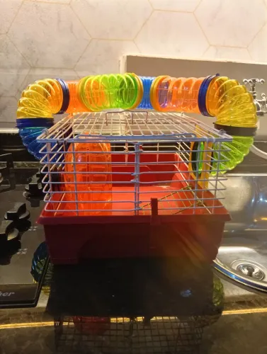 Gaiola Hamster