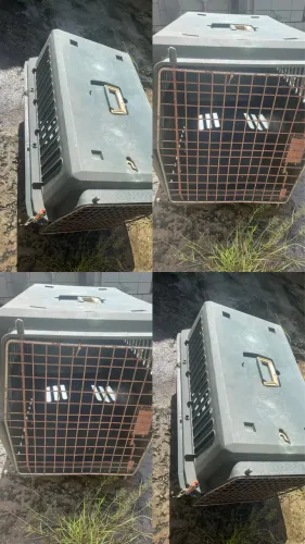 Caixa transportadora de pets