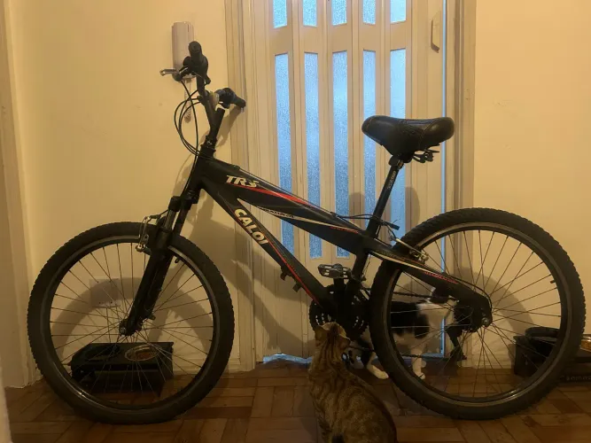 Bicicleta Caloi TRS 