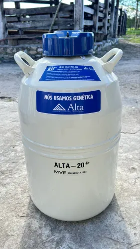 Botijão de Nitrogênio