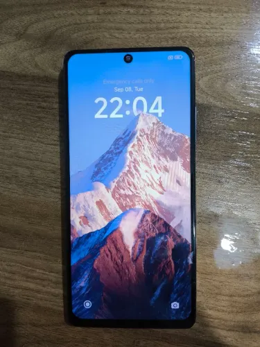 Celular Poco X5 Pro / 255GB (usado)
