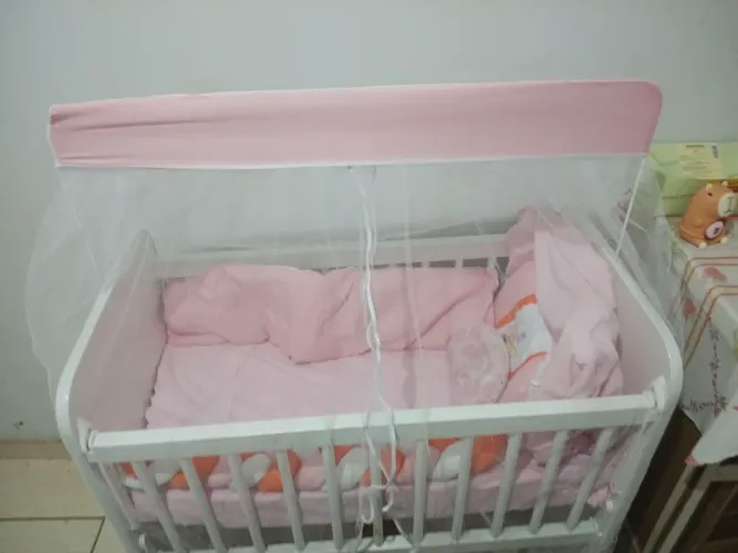 Berço moises com conjunto do colchão, almofadas e mosqueteira (novo)