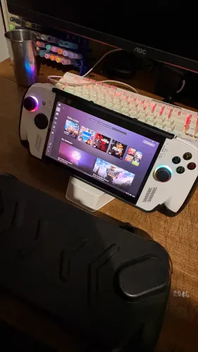 Xbox rogg ally